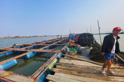 Tour Du Lịch Hải Hòa 1 Ngày Mới Nhất 2025