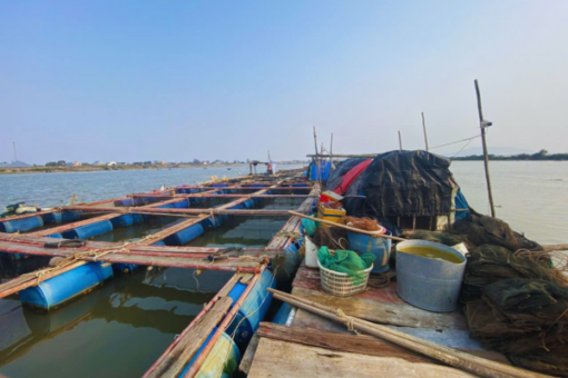Tour Du Lịch Hải Hòa 1 Ngày Mới Nhất 2025
