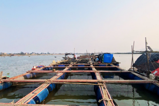 Tour Hải Hòa 3 Ngày 2 Đêm Mới Nhất 2025