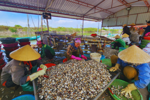 Tour Hải Hòa 3 Ngày 2 Đêm Mới Nhất 2025