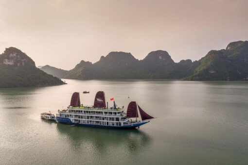 Verdure Lotus Cruise