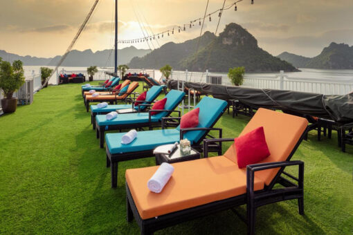 Verdure Lotus Cruise
