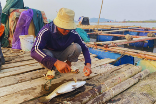 Tour Hải Hòa 3 Ngày 2 Đêm Mới Nhất 2025