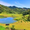 Tour du lịch sapa 2 ngày