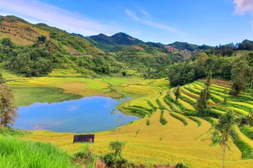 Tour du lịch sapa 2 ngày