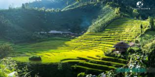 Tour du lịch Sapa 3 ngày 4 đêm