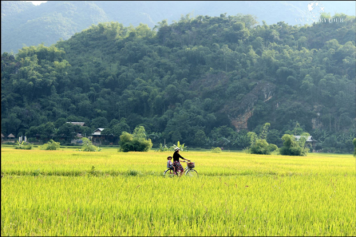 Tour Mai Châu 2 Ngày 1 Đêm - Phu Luông