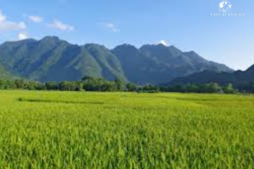 Tour Mai Châu 2 Ngày 1 Đêm - Phu Luông