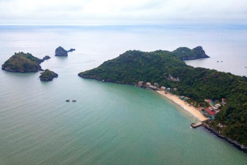 Tour Hạ Long 1 Ngày Giá Rẻ