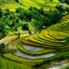 Tour 3 ngày 4 đêm đi Sapa
