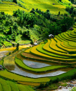 Tour 3 ngày 4 đêm đi Sapa