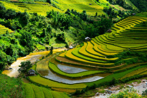 Du lịch Sapa 2 đêm 2 ngày (đi tàu hỏa, về ô tô)