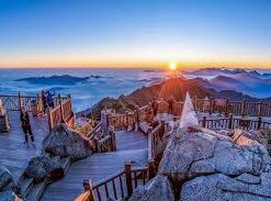 Một ngày Fansipan Trekking