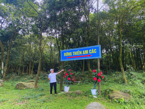TOUR HẢI HÒA 2 NGÀY 1 ĐÊM