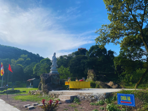 TOUR HẢI HÒA 2 NGÀY 1 ĐÊM