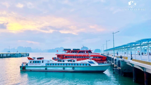 Tour Côn Đảo 3 Ngày 2 Đêm